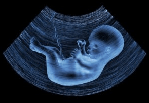 Baby inside a womb graphic